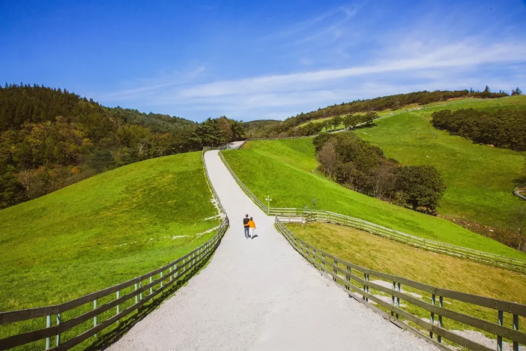 Ranch Path Original Image