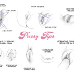 Vulva Variation