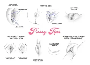 Vulva Variation