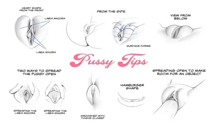 Vulva Variation