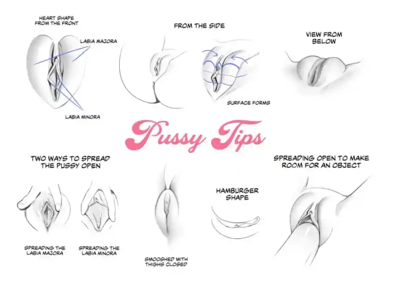 Vulva Variation
