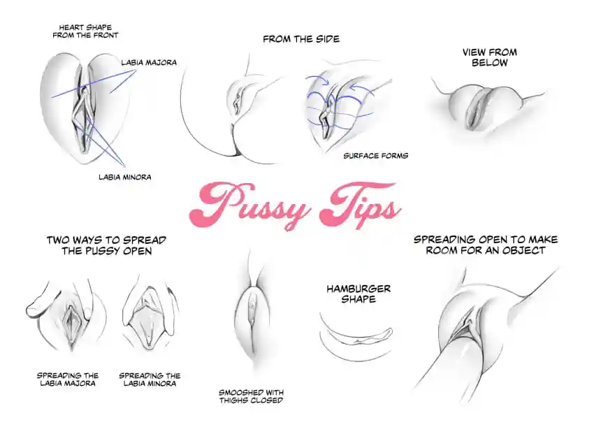 Vulva Variation