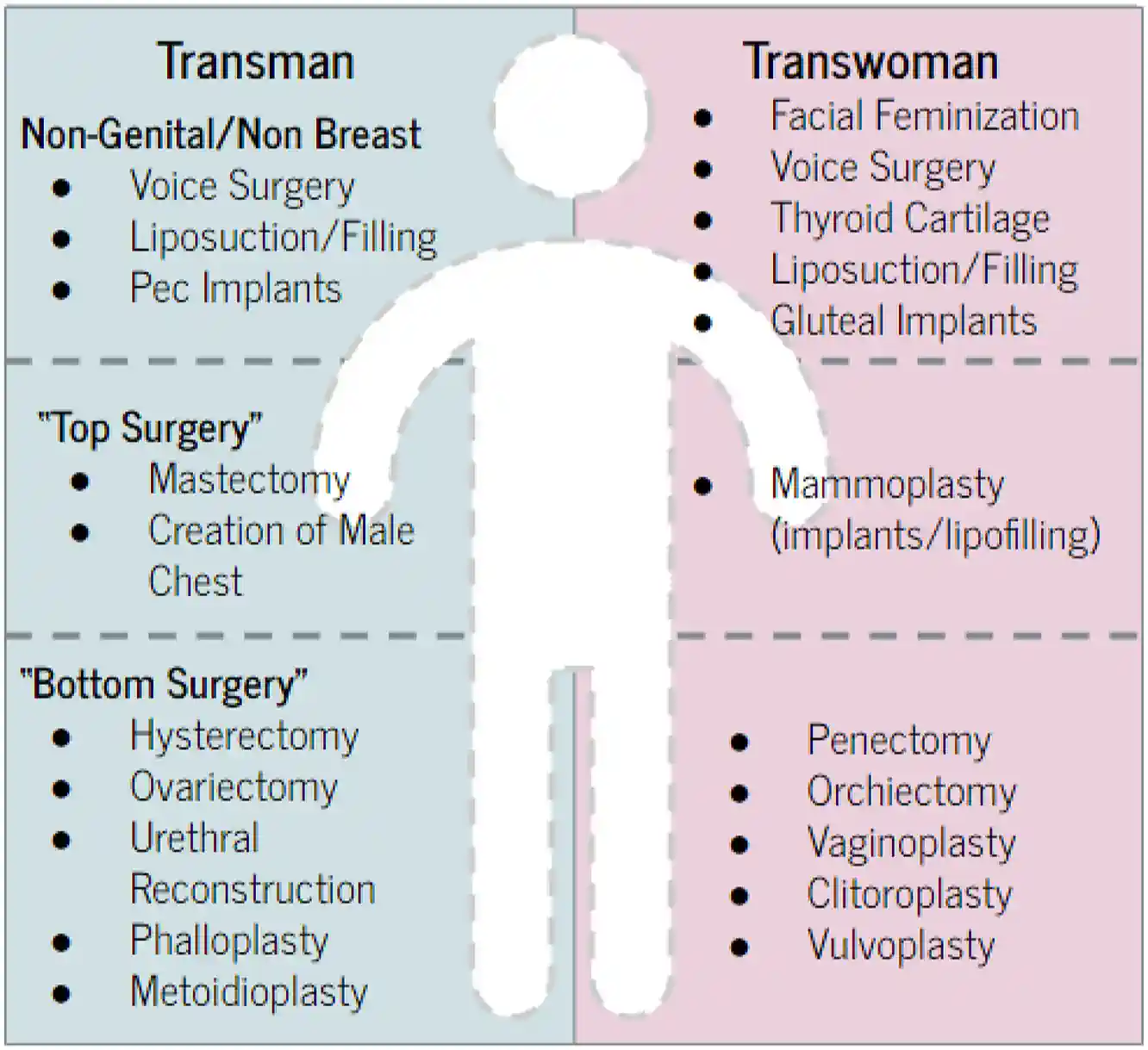 Gender-Affirming Surgical Procedures