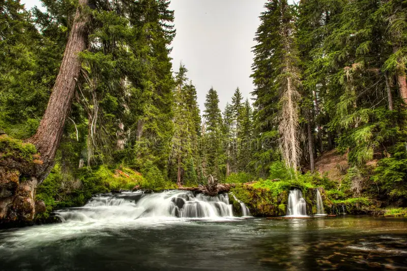 Oregon benefits from mountain streams, rivers, rainfall, and protected natural areas